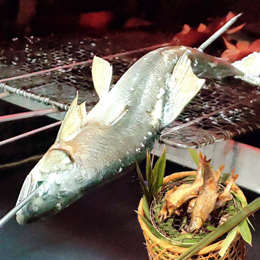 山陰・岸田川産 天然アユ（活〆・友釣り・生冷凍） 超特大 1尾 体長約