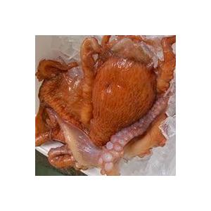 水たこ頭 生冷凍 約1 0 1 2ｋｇ 内臓除去済 浜坂産 1匹分または大きいので切身にしたもののいずれかがになります タコ ミズダコ 人気ブランドの新作