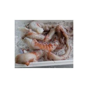 水たこ足（生冷凍） 超特大 1本 約1.6-1.8kg程度 （浜坂産） タコ