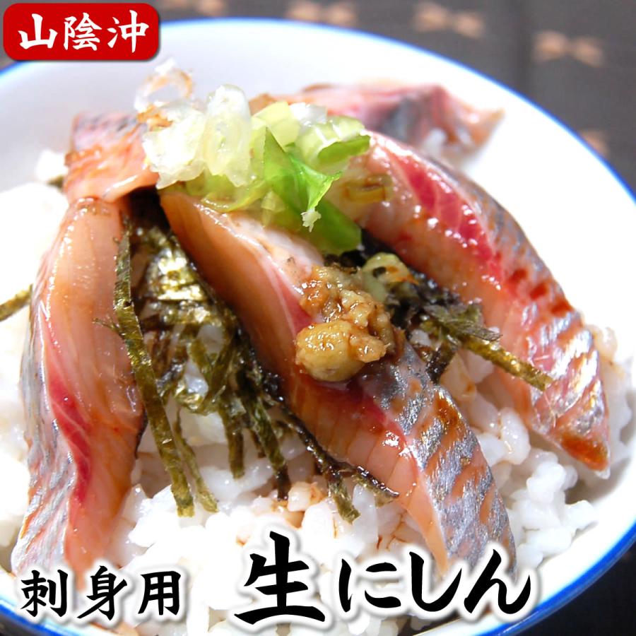 お刺身用ニシンフィレ 冷凍 大サイズ 100 119ｇ程度 １尾分 山陰浜坂産 にしん 鰊