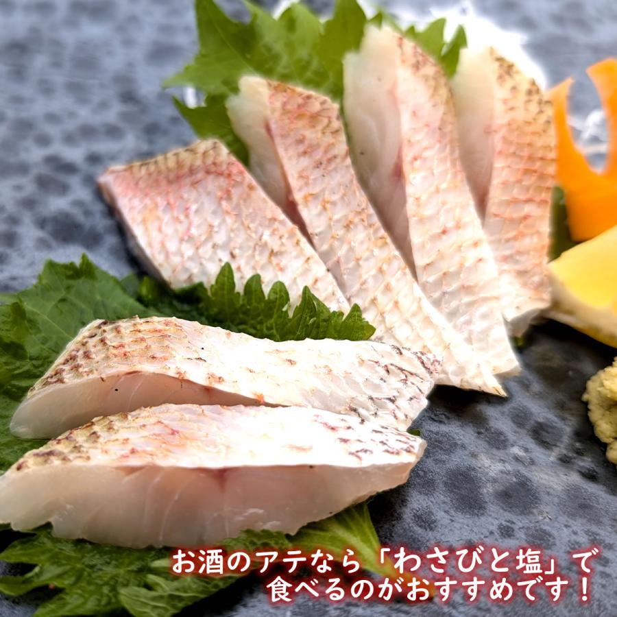 おさしみ 炙りのどぐろ、炙りフグ、ハタハタ 山陰のお刺身用魚3点セット