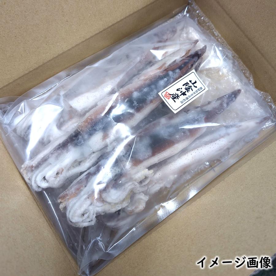 するめいか（冷凍）1kg（5-6杯入）国産（山陰浜坂産）（送料