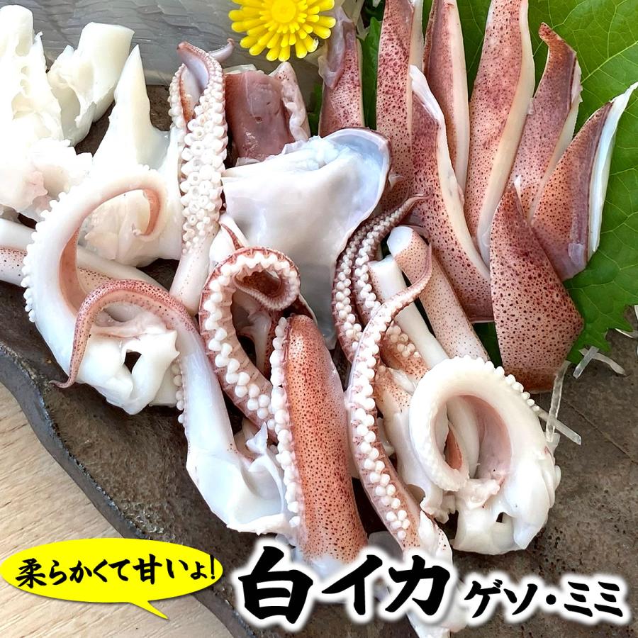 迅速な対応で商品をお届け致します お刺身用 白イカゲソと耳 塩茹で済 冷凍 約150ｇ入 浜坂産 お刺身に バーベキューに 白烏賊 白いか 烏賊 やり いか ヤリイカ ケンサキ けんさき Quran Unv Edu Sd