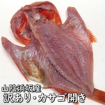 訳あり・カサゴ開き（冷凍）１枚　約200-299ｇ程度　（浜坂産）　（ガシラ） : 毎日漁港へ目利き一筋!かにの山米 - 通販 - Yahoo!ショッピング
