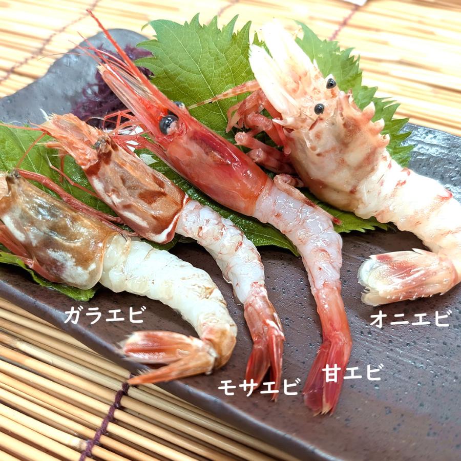 訳あり 山陰の地エビ（冷凍）（約150g）（浜坂産）（海老、えび