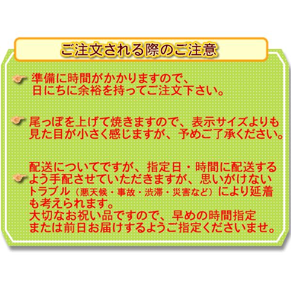 送料無料）尾頭付き天然鯛の姿焼き 1人前には少し大きいサイズ 1匹 