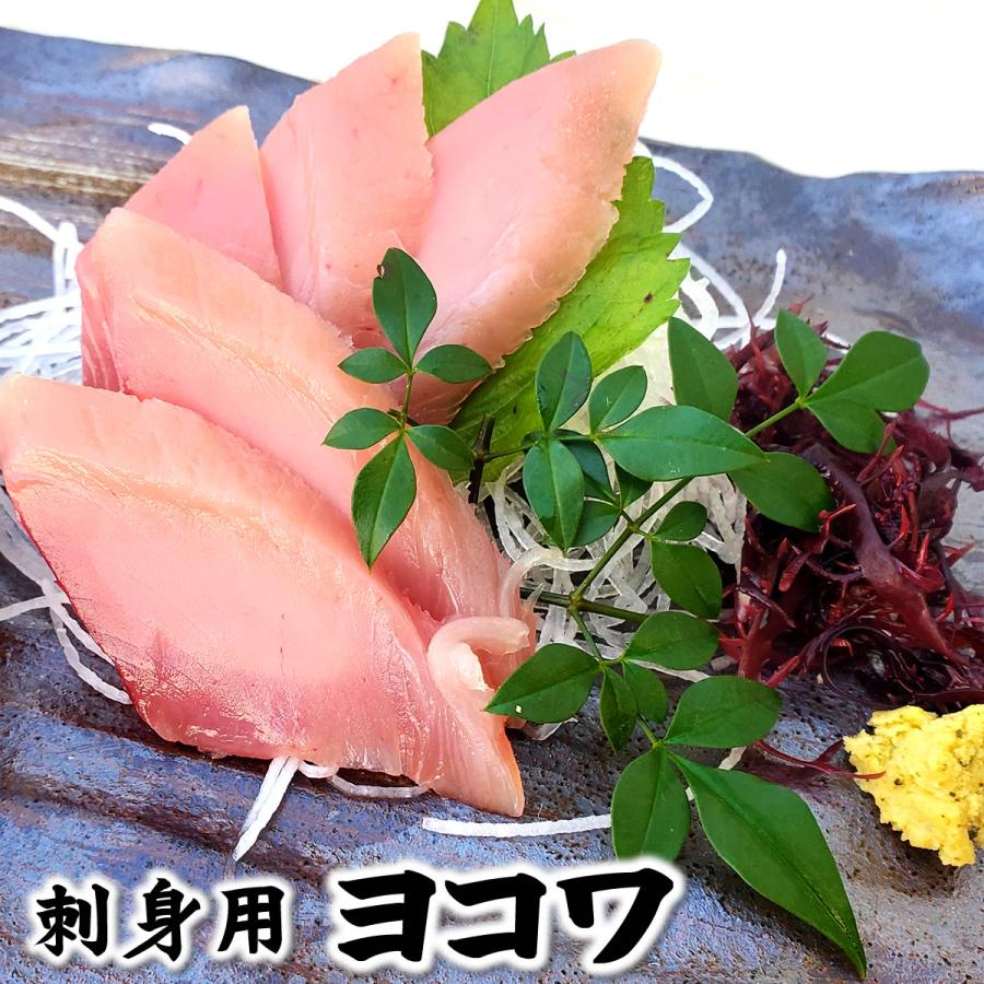 刺身用 ヨコワ 本マグロの子 柵 冷凍 2キロ台の片身分 550