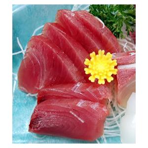 刺身用 ヨコワ 本マグロの子 柵 冷凍 2キロ台の片身分 550 580ｇ 兵庫浜坂産 高鮮度3d凍結 よこわ まぐろ 鮪 刺身 よこわ フィレ Yokowa Sasimi550 毎日漁港へ目利き一筋 かにの山米 通販 Yahoo ショッピング
