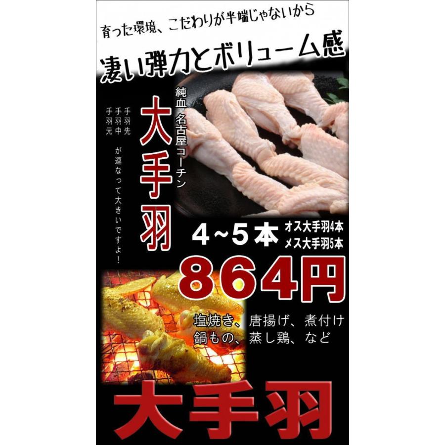 大手羽 手羽先 手羽中 手羽元 ４ ５本 名古屋コーチン鶏肉 松風地鶏 Standard 004 名古屋コーチン松風地どり 通販 Yahoo ショッピング