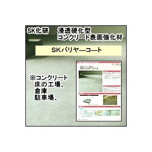 エスケー化研　ＳＫバリヤーコート　18K