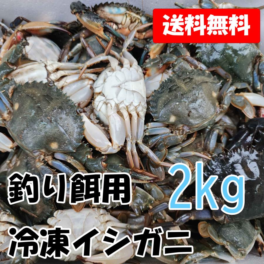 現役漁師も愛用！ 釣り餌用 冷凍イシガニ2kg カニ エサ 石蟹