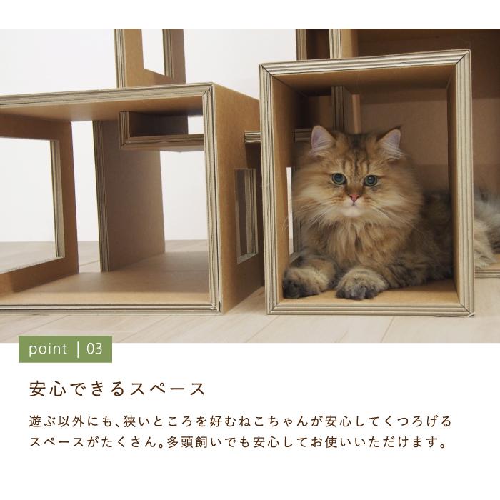 蒼*猫様 パワーカウンター　17本セット Amazon | PAPER NEW STANDARD キャットボックス 6箱セット