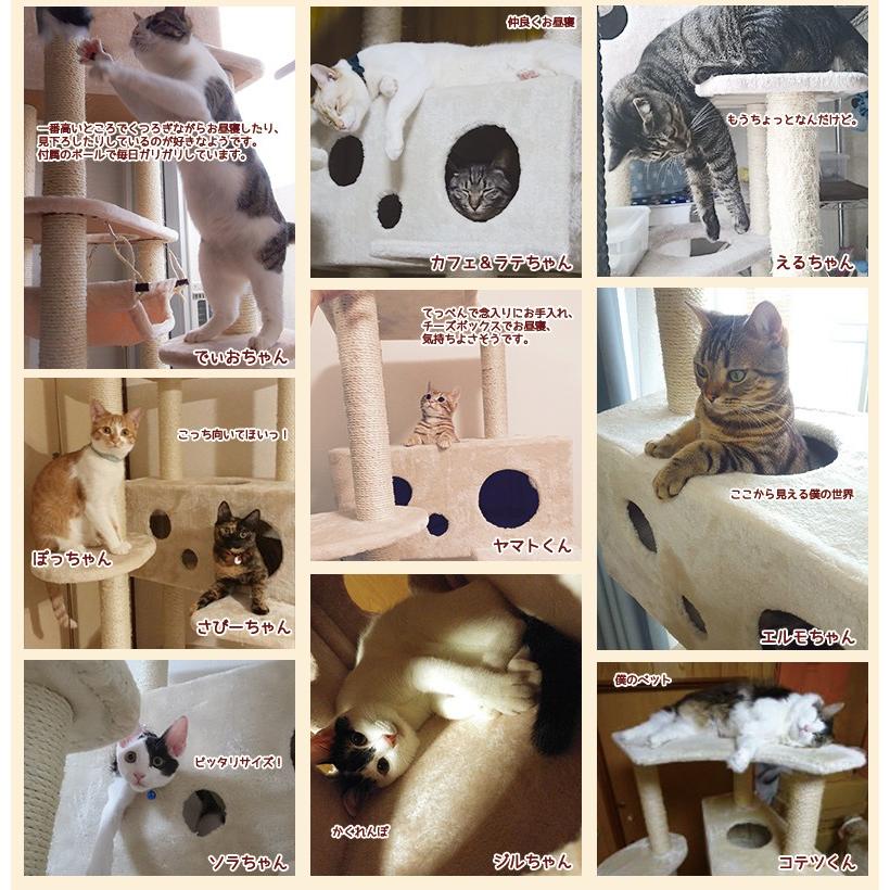Mauタワーアラモード】キャットタワー 人気 据え置き 大型猫 