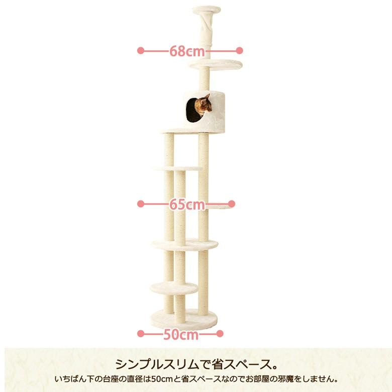 スペシャルプライス23,155円→17,430円 Mauタワートルテ】キャット