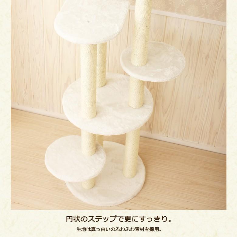 スペシャルプライス23,155円→19,580円 Mauタワートルテ