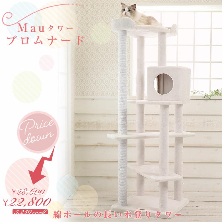 スペシャルプライス28,600円→22,800円】キャットタワー スペシャルプライス28,600円→22,800円】キャットタワー