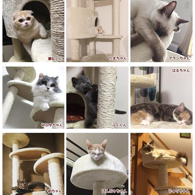 Mauタワーミルキーエッグ】キャットタワー 人気 据え置き 子猫 シニア