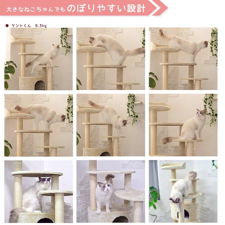 Mauタワーリッチエッグ】キャットタワー 人気 据え置き 大型猫 シニア