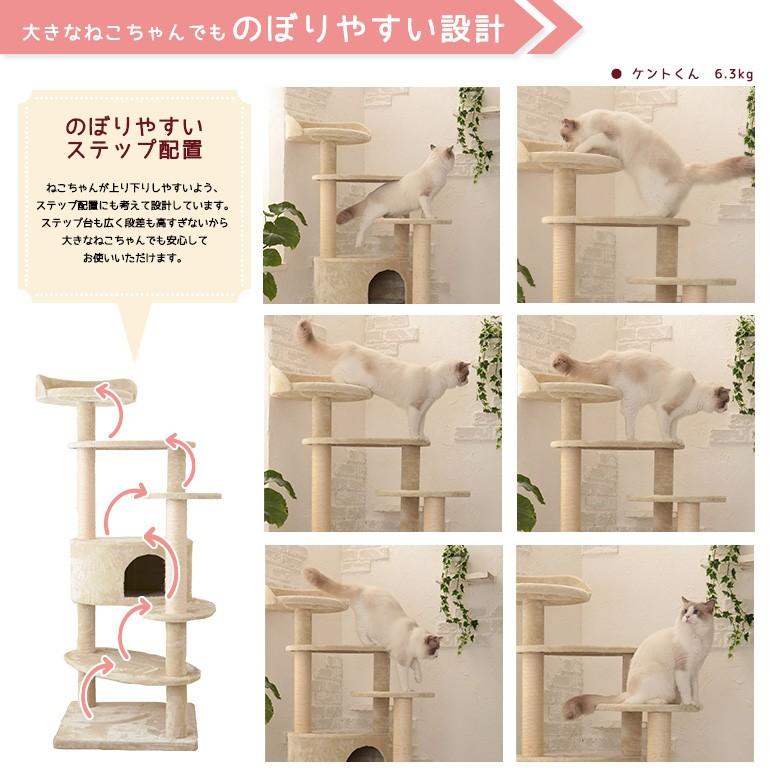 Mauタワーリッチエッグ】キャットタワー 据え置き 大型猫 シニア