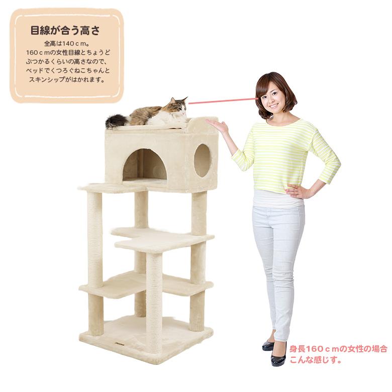 【KoP】Mau ゴールドクレエ キャットタワー Mauタワーゴールドクレエ】キャットタワー 据え置き 大型猫 シニア猫