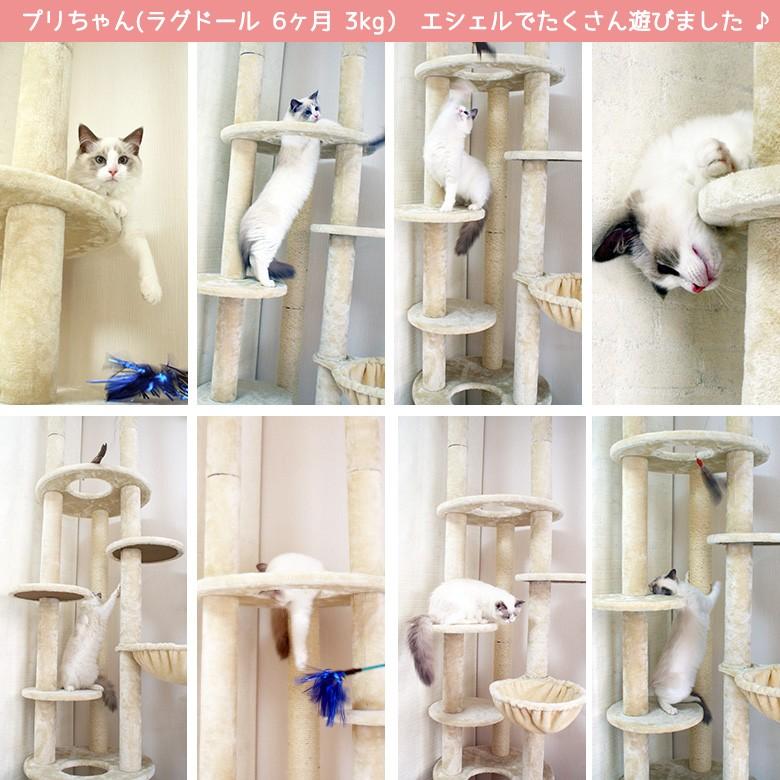 Mauタワーエシェル】キャットタワー 人気 突っ張り 大型猫 スリム 省