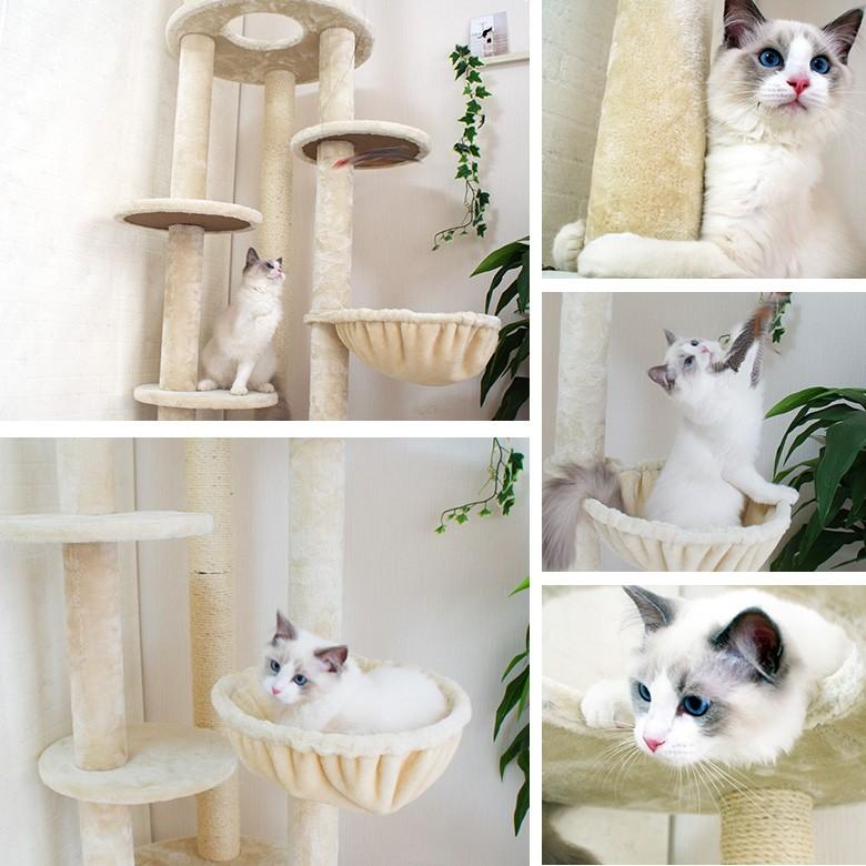 【Mauタワーエシェル】キャットタワー 人気 突っ張り 大型猫 スリム 省スペース 子猫 ハンモック付 多頭飼い 爪とぎ 麻縄 交換 安定 組立簡単 猫タワー シンプル | ブランド登録なし | 11