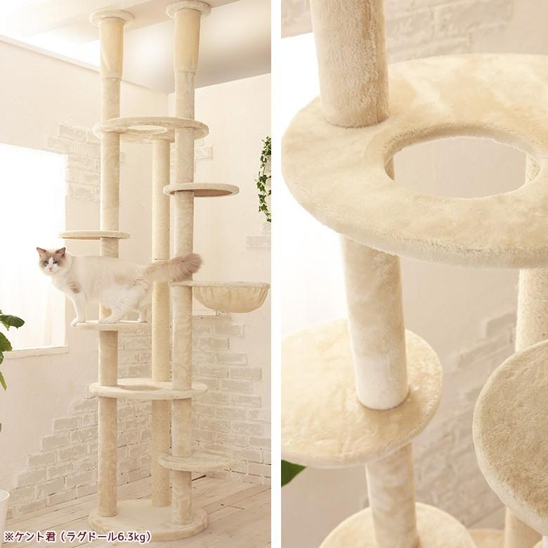 【Mauタワーエシェル】キャットタワー 人気 突っ張り 大型猫 スリム 省スペース 子猫 ハンモック付 多頭飼い 爪とぎ 麻縄 交換 安定 組立簡単 猫タワー シンプル | ブランド登録なし | 12
