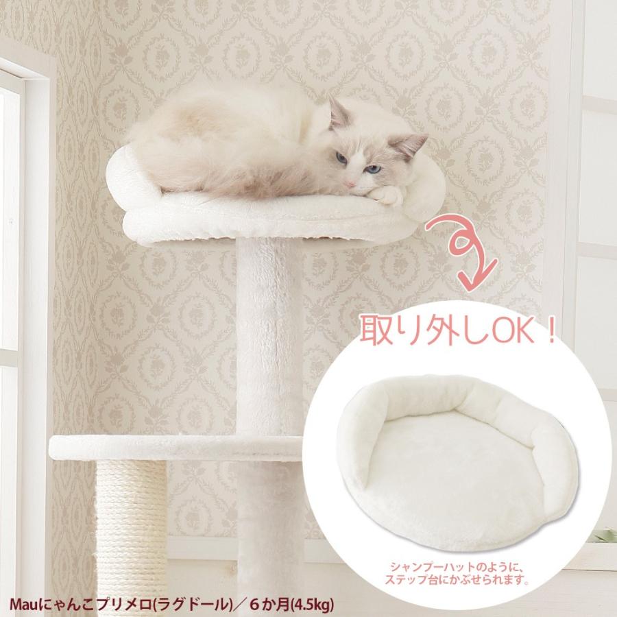 Mauタワーポム】キャットタワー 据え置き コンパクト 子猫