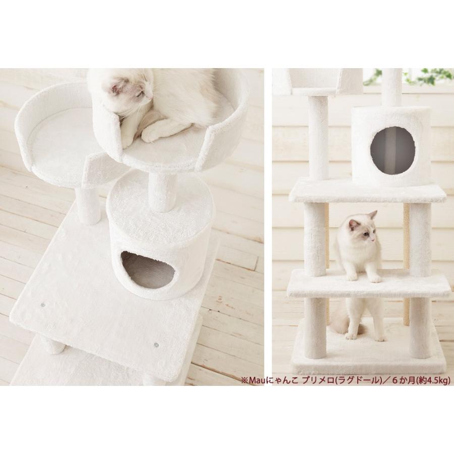 Mauタワーココ】キャットタワー 据え置き コンパクト 子猫