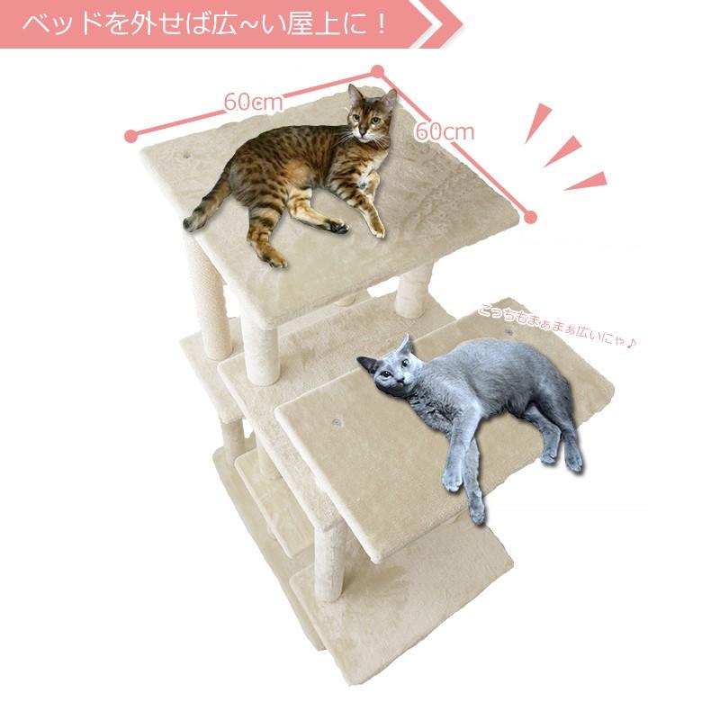 タモ猫 ここに誰か立つだけで、ウェイティングモード🥹 #tam #タムさん