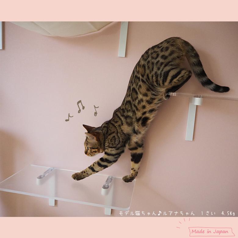 ワイドステップ（クリア）キャットウォーク 賃貸OK DIY 運動不足解消