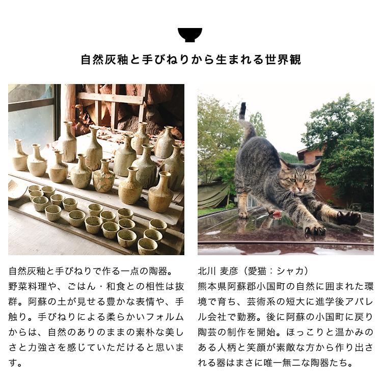 土鍋 土なべ 鍋 4人用 5人用 9号 陶器 器 お皿 満願寺窯 手 土鍋 土なべ 鍋 4人用 5人用 9号 陶器 器 お皿 満願寺窯 手