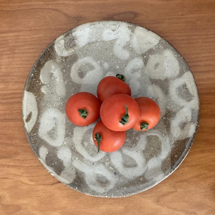 丸皿 フラット皿 取り皿 平皿 陶器 器 お皿 草木染 満願寺窯 手びねり