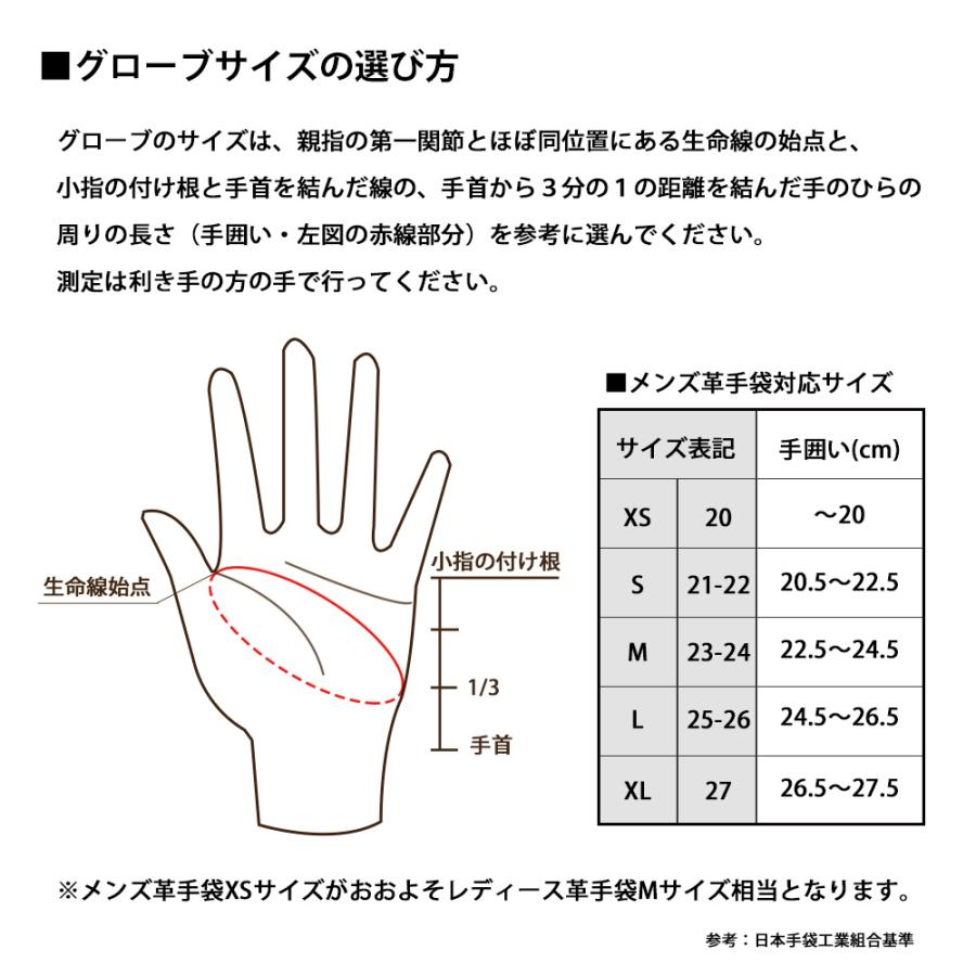 メール便配送】 POWWOW パウワウ ザ・ガントレット タイプ ストリート