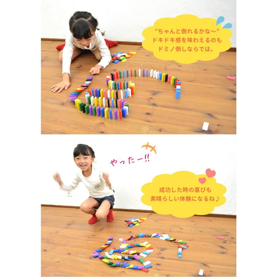 送料無料】【アウトレット商品】ドミノ 大満足の 1000個 セット