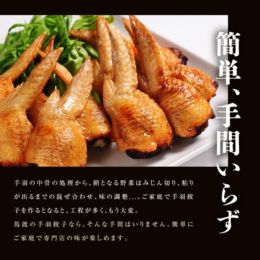 【がむしゃらグルメ 日本一の餃子認定！】手羽餃子10本【送料無料】手羽先 ギフト 贈り物 ラヴィット！ 熱狂マニアさん アンタッチャブル マツコ |  | 03