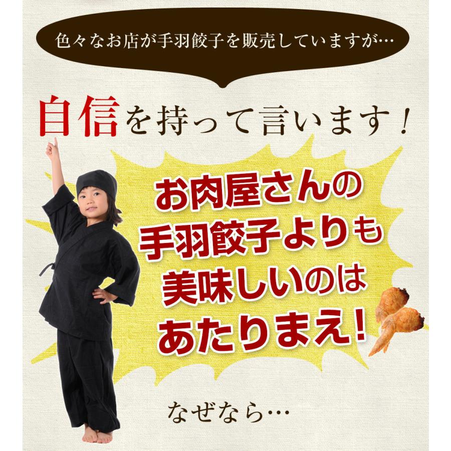 【がむしゃらグルメ 日本一の餃子認定！】手羽餃子10本【送料無料】手羽先 ギフト 贈り物 ラヴィット！ 熱狂マニアさん アンタッチャブル マツコ |  | 11