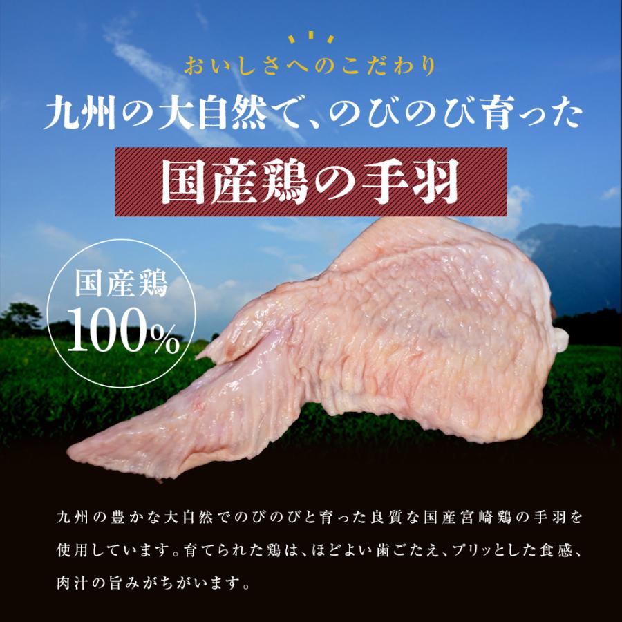 【がむしゃらグルメ 日本一の餃子認定！】手羽餃子10本【送料無料】手羽先 ギフト 贈り物 ラヴィット！ 熱狂マニアさん アンタッチャブル マツコ |  | 04
