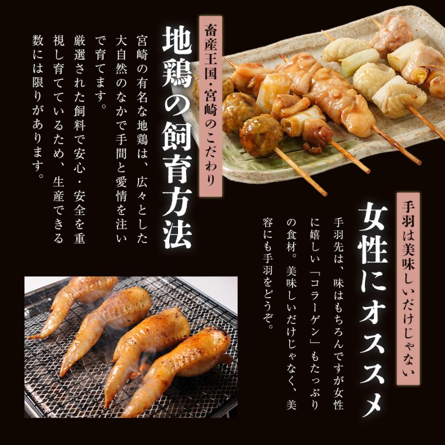 【がむしゃらグルメ 日本一の餃子認定！】手羽餃子10本【送料無料】手羽先 ギフト 贈り物 ラヴィット！ 熱狂マニアさん アンタッチャブル マツコ |  | 05