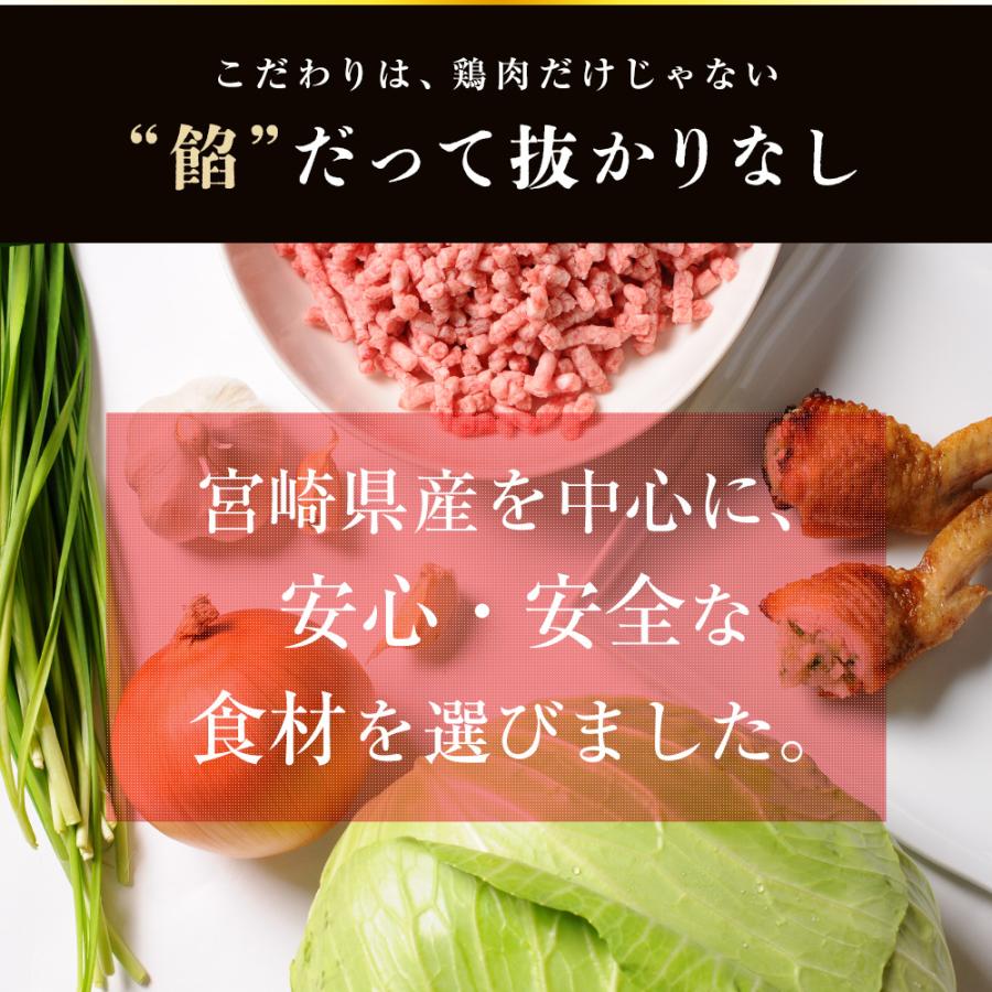 【がむしゃらグルメ 日本一の餃子認定！】手羽餃子10本【送料無料】手羽先 ギフト 贈り物 ラヴィット！ 熱狂マニアさん アンタッチャブル マツコ |  | 06