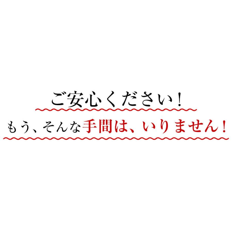 【がむしゃらグルメ 日本一の餃子認定！】手羽餃子10本【送料無料】手羽先 ギフト 贈り物 ラヴィット！ 熱狂マニアさん アンタッチャブル マツコ |  | 06