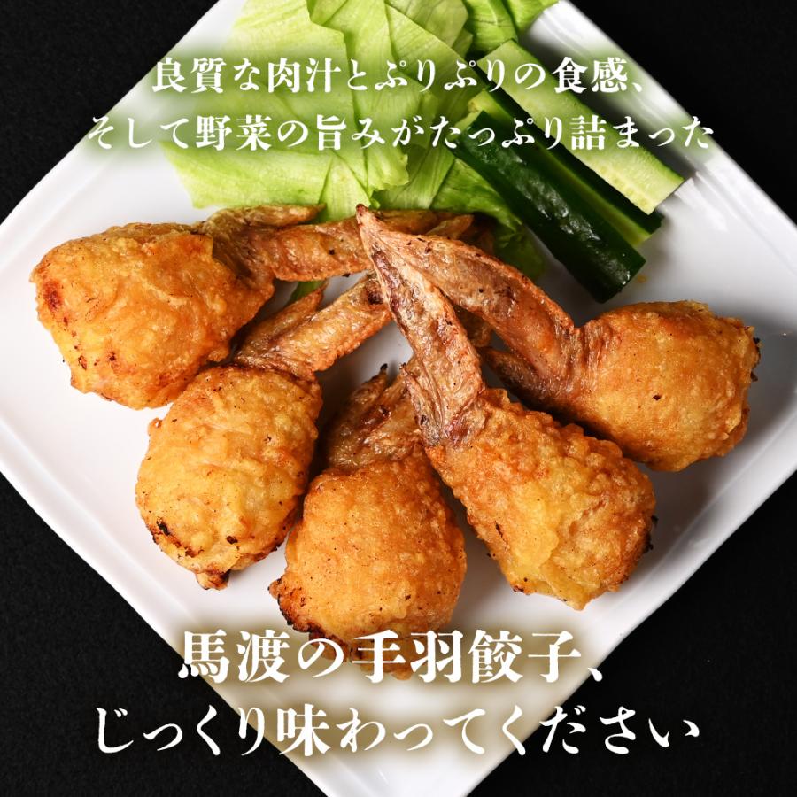 【がむしゃらグルメ 日本一の餃子認定！】手羽餃子10本【送料無料】手羽先 ギフト 贈り物 ラヴィット！ 熱狂マニアさん アンタッチャブル マツコ |  | 13