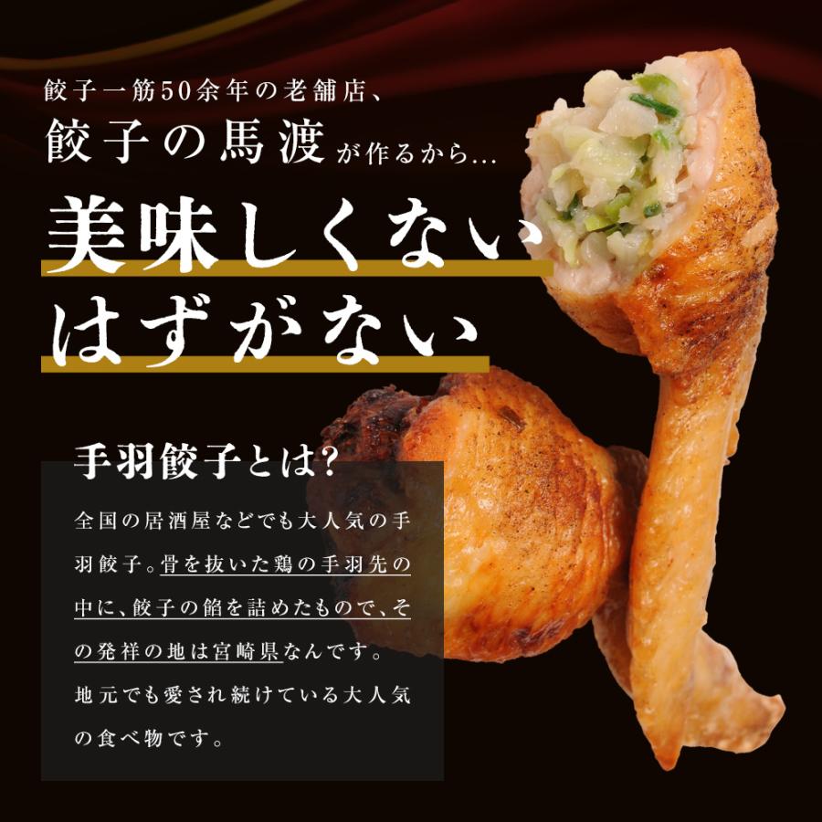 【がむしゃらグルメ 日本一の餃子認定！】手羽餃子10本【送料無料】手羽先 ギフト 贈り物 ラヴィット！ 熱狂マニアさん アンタッチャブル マツコ |  | 02