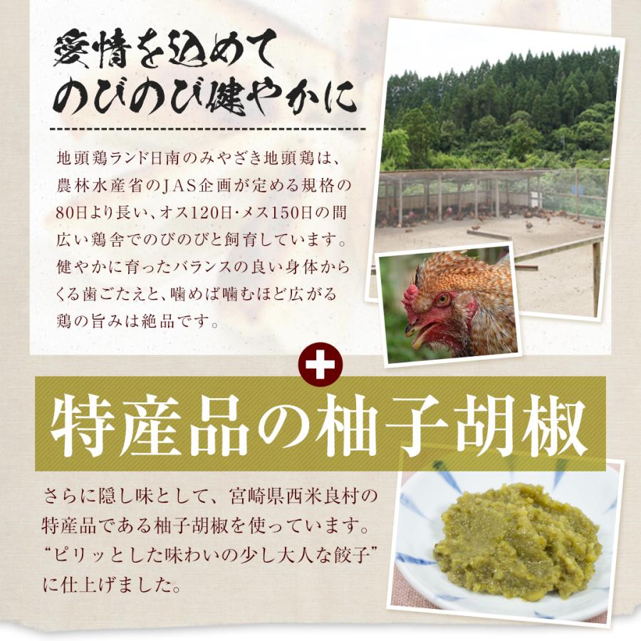 宮崎地頭鶏餃子10個  生餃子 宮崎餃子 高鍋餃子 ぎょうざ ギョーザ ご当地 ラヴィット！ 熱狂マニアさん 知らない世界 名店 王様のブランチ 行列ができる相談所 |  | 04