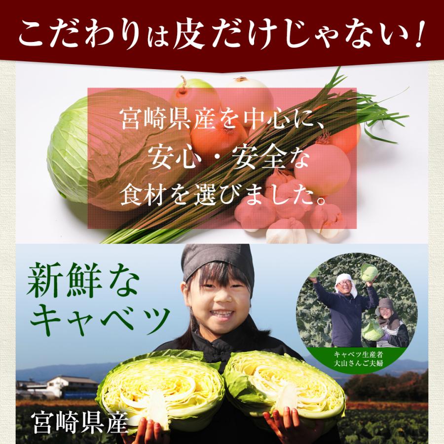 宮崎地頭鶏餃子10個  生餃子 宮崎餃子 高鍋餃子 ぎょうざ ギョーザ ご当地 ラヴィット！ 熱狂マニアさん 知らない世界 名店 王様のブランチ 行列ができる相談所 |  | 07