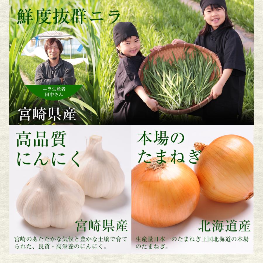 宮崎地頭鶏餃子10個  生餃子 宮崎餃子 高鍋餃子 ぎょうざ ギョーザ ご当地 ラヴィット！ 熱狂マニアさん 知らない世界 名店 王様のブランチ 行列ができる相談所 |  | 08