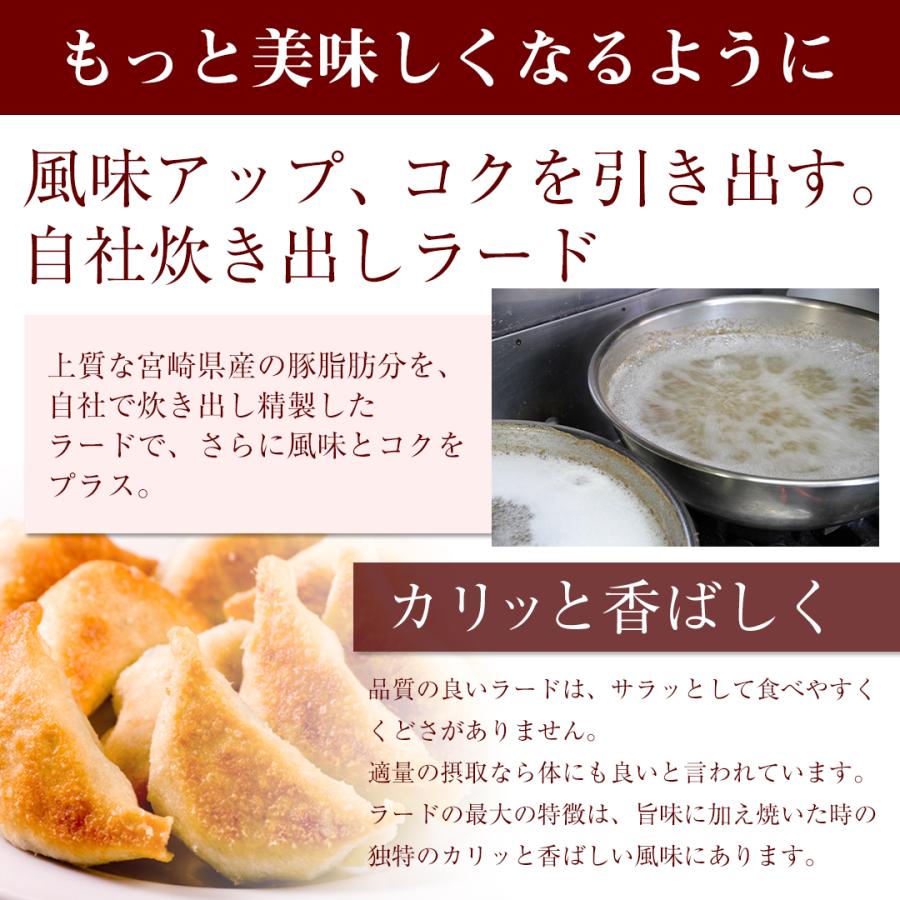 宮崎地頭鶏餃子10個  生餃子 宮崎餃子 高鍋餃子 ぎょうざ ギョーザ ご当地 ラヴィット！ 熱狂マニアさん 知らない世界 名店 王様のブランチ 行列ができる相談所 |  | 09