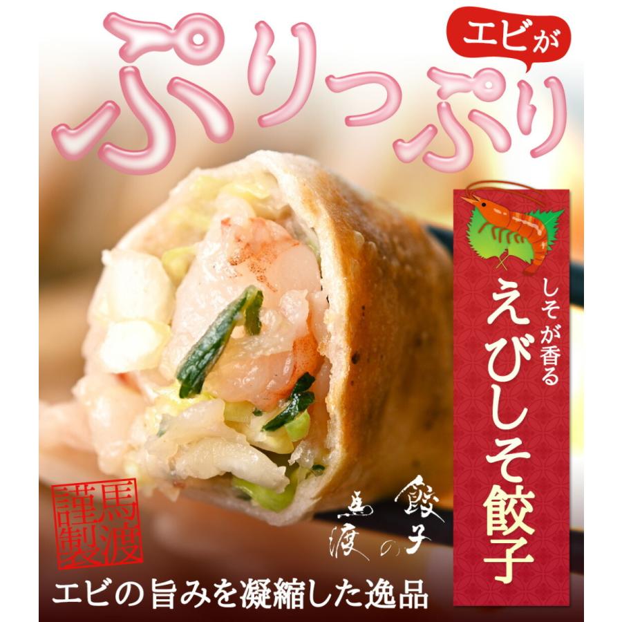 えびしそ餃子50個 送料無料  生餃子 宮崎餃子 高鍋餃子 九州 宮崎 特産品 ご当地 海老餃子 しそ餃子 ラヴィット！ 熱狂マニアさん 知らない世界 行列 |  | 01