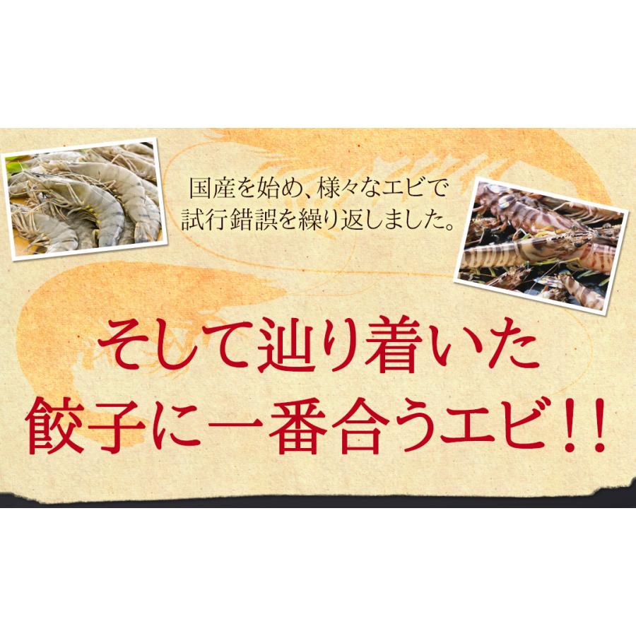 えびしそ餃子50個 送料無料  生餃子 宮崎餃子 高鍋餃子 九州 宮崎 特産品 ご当地 海老餃子 しそ餃子 ラヴィット！ 熱狂マニアさん 知らない世界 行列 |  | 03
