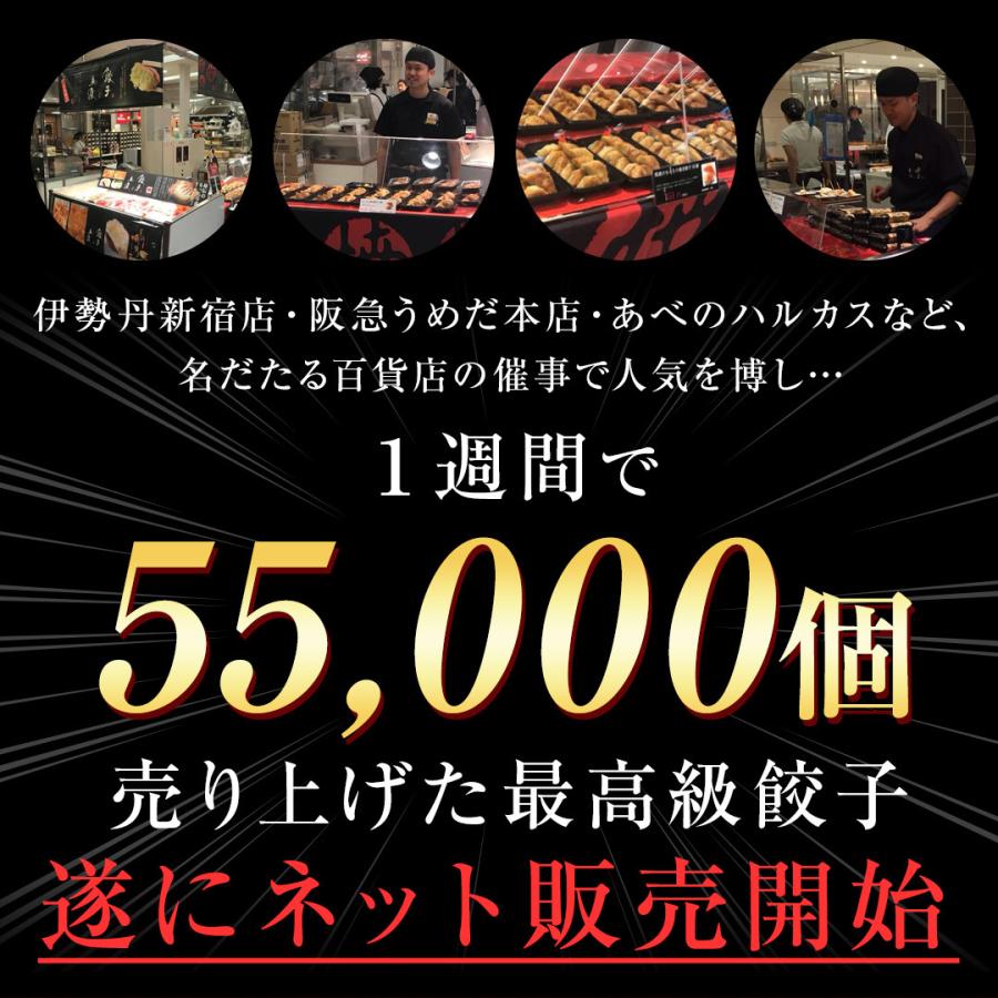 もっちり くろぶた餃子10個入 お試し 同梱  生餃子 宮崎餃子 高鍋餃子 宮崎産黒豚 国産小麦粉使用 ぎょうざ 特産品 肉汁 ラヴィット！ 熱狂マニアさん |  | 03
